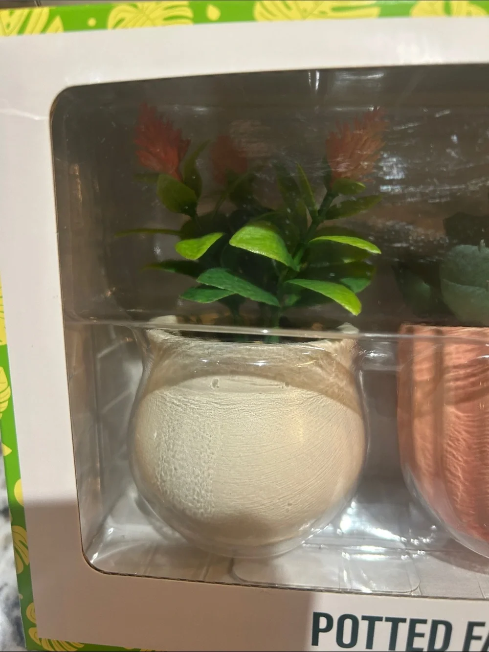 FESTIVE VOICE PITTED FAUX SUCCULENT SET NWT